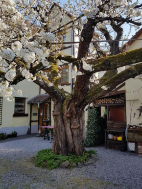 Ferienwohnung Zum-alten-Kirschbaum